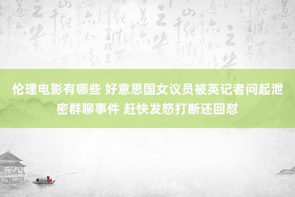 伦理电影有哪些 好意思国女议员被英记者问起泄密群聊事件 赶快发怒打断还回怼