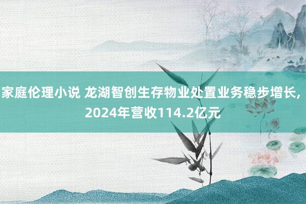 家庭伦理小说 龙湖智创生存物业处置业务稳步增长， 2024年营收114.2亿元