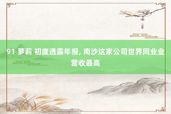 91 萝莉 初度透露年报， 南沙这家公司世界同业业营收最高