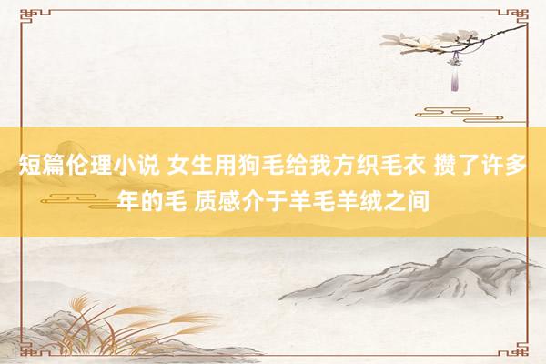 短篇伦理小说 女生用狗毛给我方织毛衣 攒了许多年的毛 质感介于羊毛羊绒之间