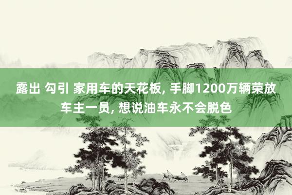 露出 勾引 家用车的天花板， 手脚1200万辆荣放车主一员， 想说油车永不会脱色